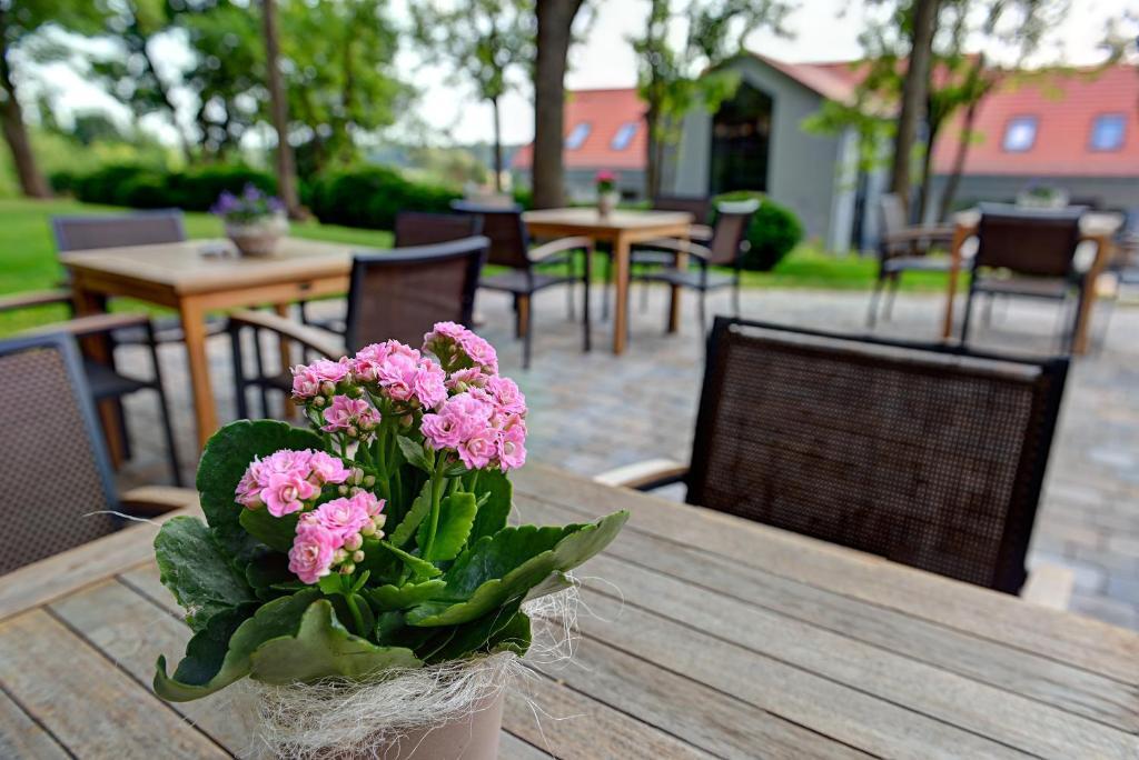 Arthotel Kiebitzberg Havelberg Kültér fotó