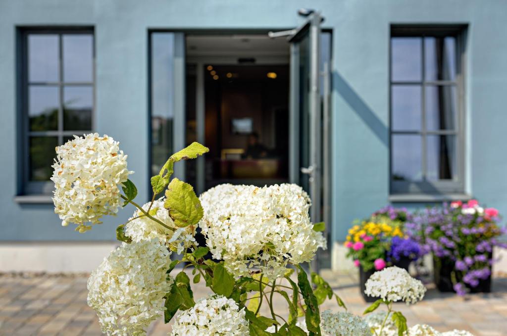 Arthotel Kiebitzberg Havelberg Kültér fotó